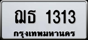 ทะเบียนรถ ฌธ 1313 ผลรวม 0